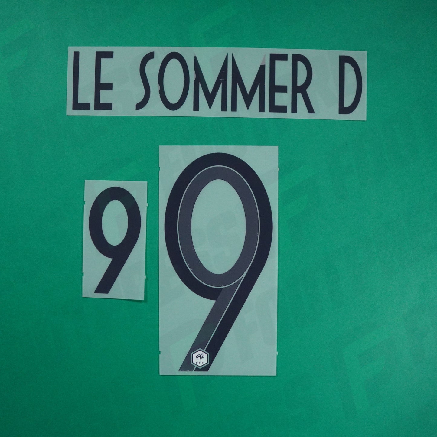 Official Nameset - France, Le Sommer, WC 2019, Away, Blue